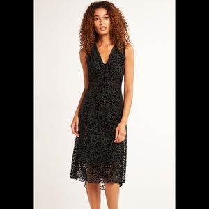 elie tahari celeste dress